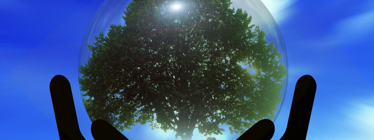 mains tiennent arbre de vie avec fond bleu