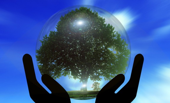 mains tiennent arbre de vie avec fond bleu